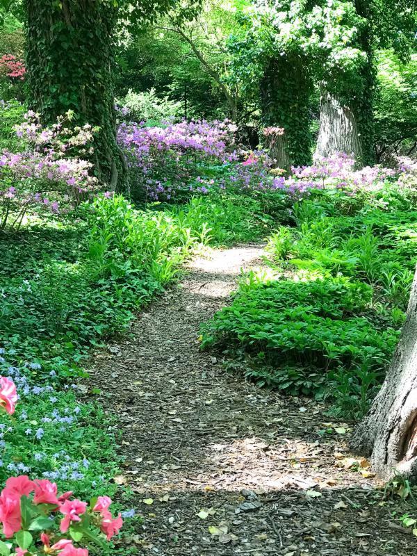 Lee path 2017