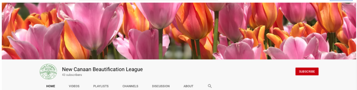 NCBL YouTube channel