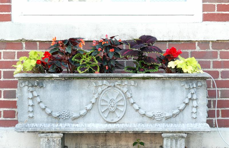 Town Hall old planters
