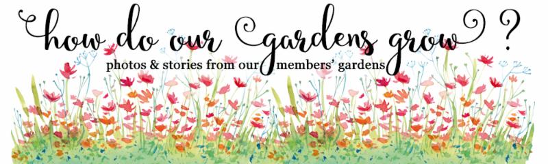 How do our gardens grow header