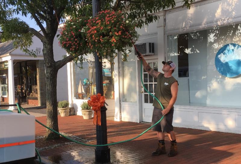 Halloran watering 2018