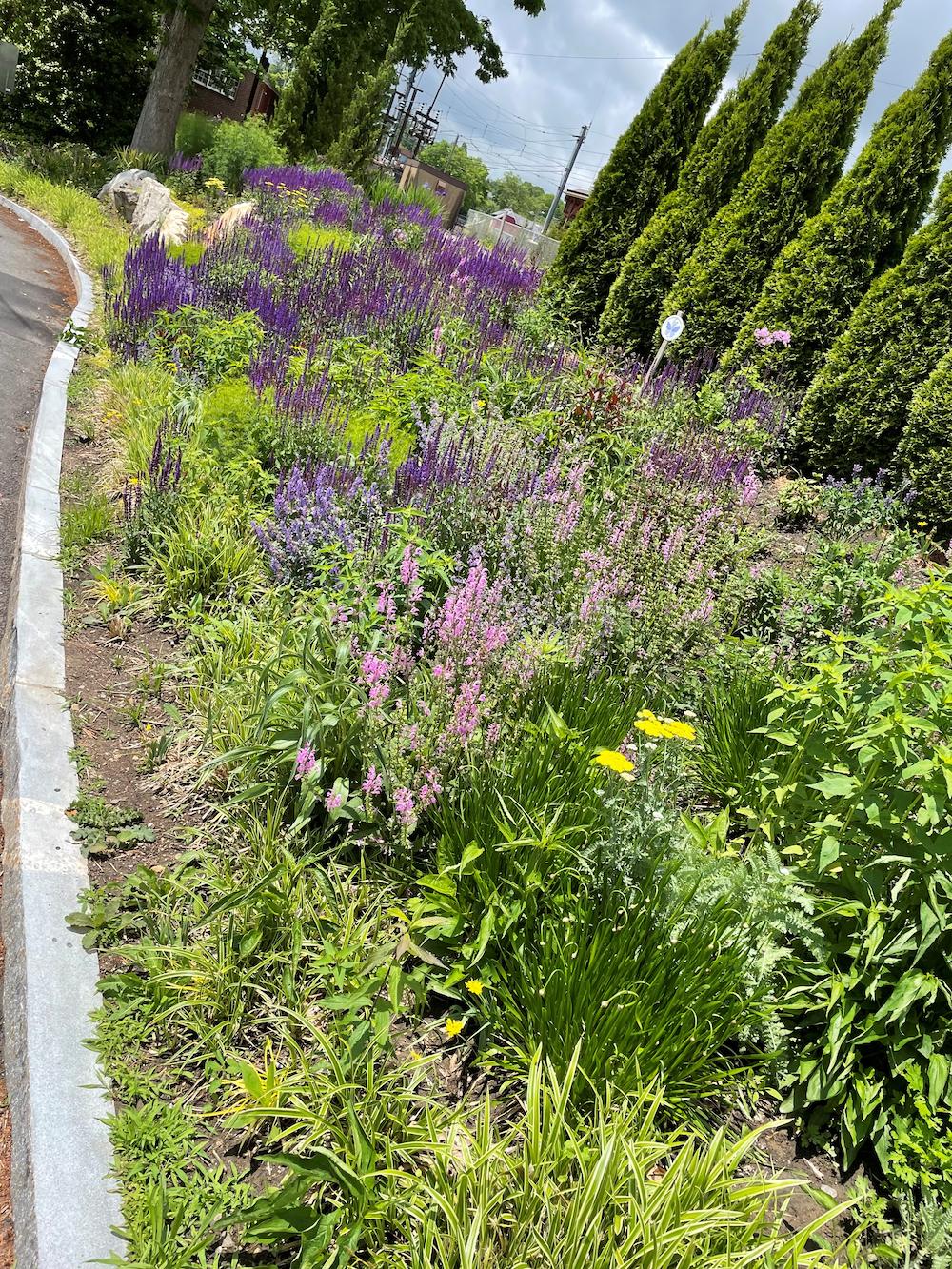 mailbox drop off 2022