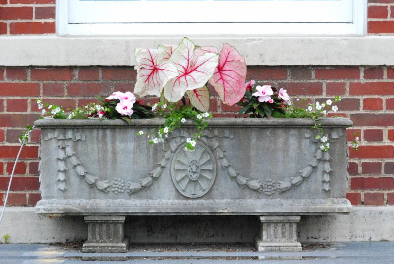 Town Hall front planter