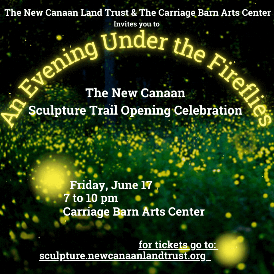 Evening Under the Fireflies