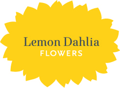 Lemon dahlia logo