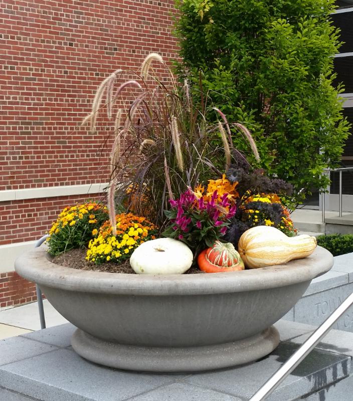 town hall planter fall 2016