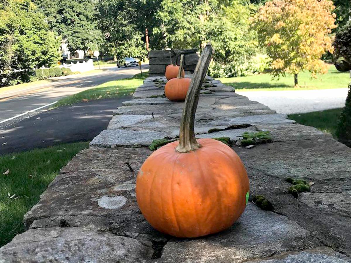 pumpkins on stone wall