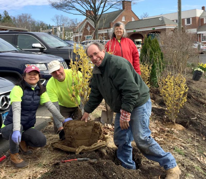 Post Office planting
