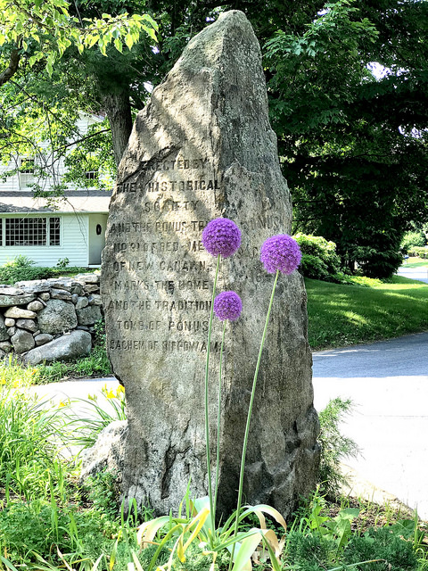 Davenport Ridge Triangle June 2018