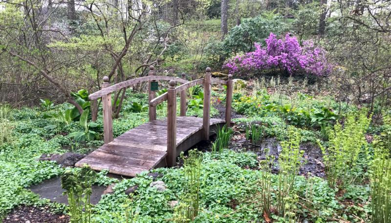 Lee Garden bridge in April 2019 rain