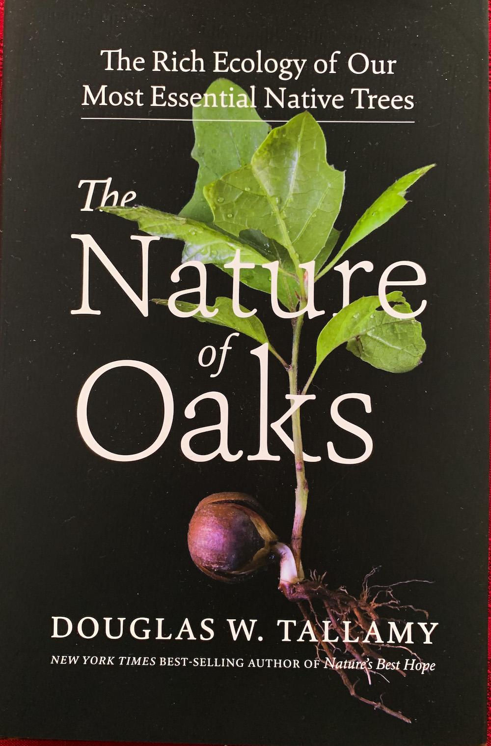 The Nature of Oaks