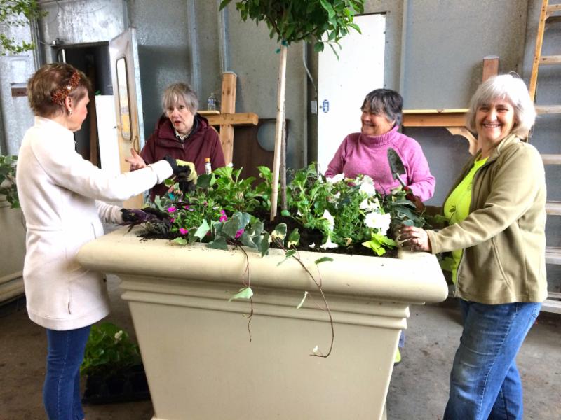 Town Planters 2017