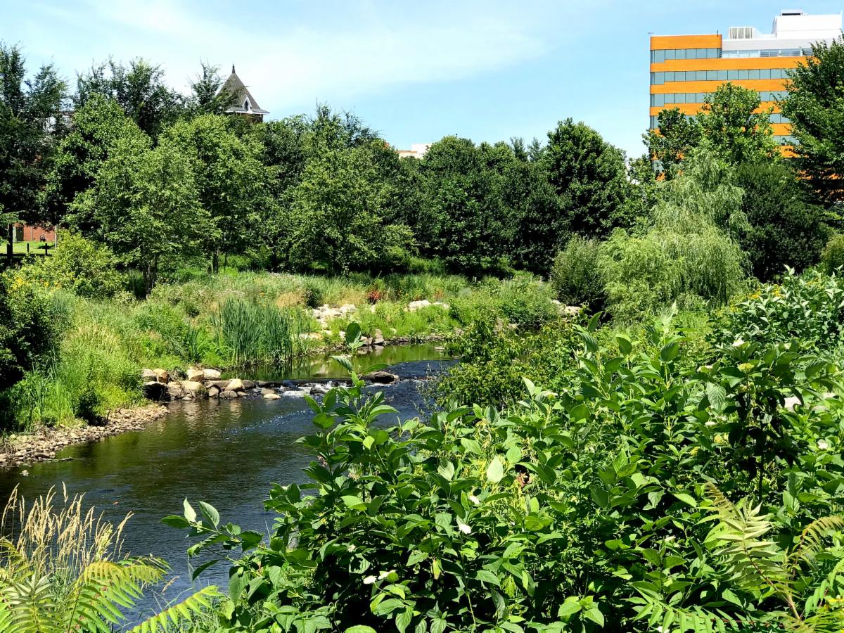 Mill River Park view