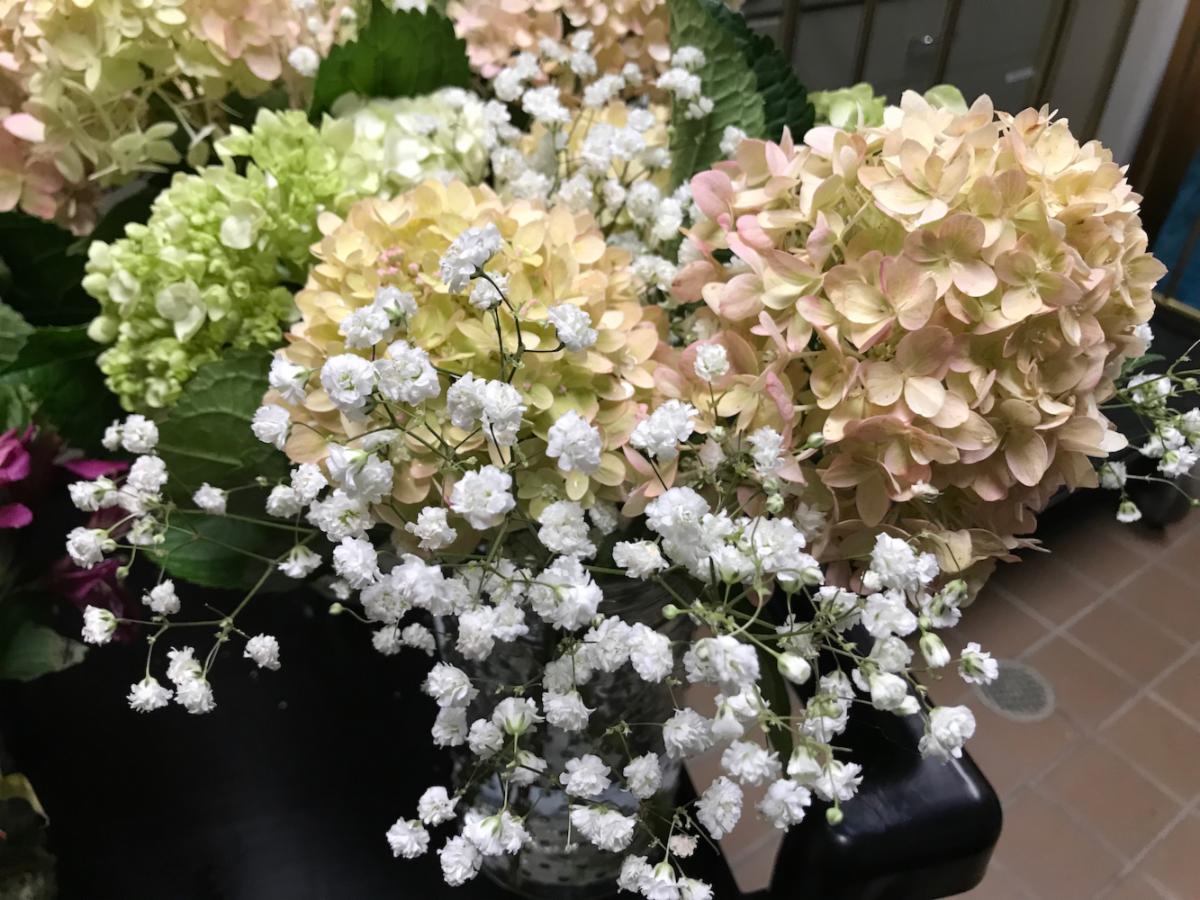 Waveny flowers 10-17-22