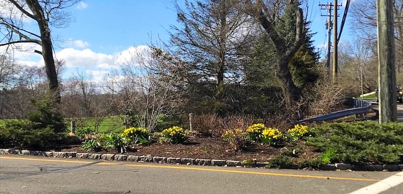 Country Club and 123