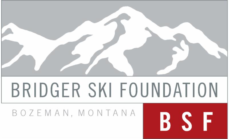 New bsf logo