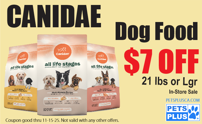 Canidae 