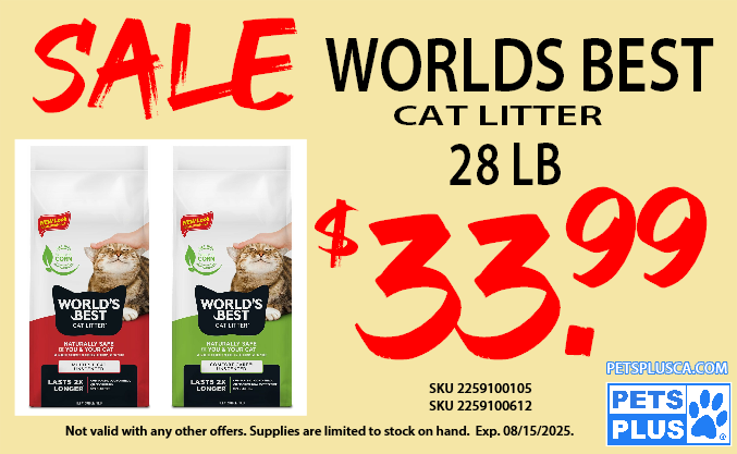 World Best Promotion