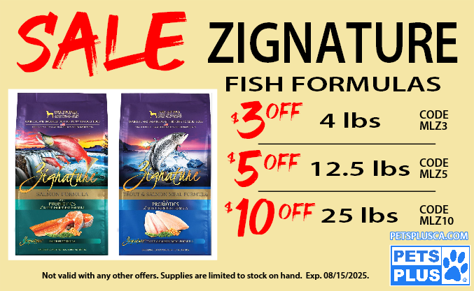 Zignature promotion