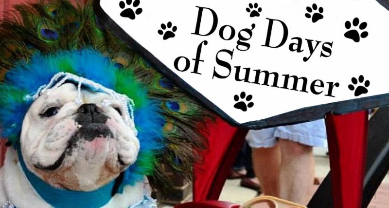 Dog Days of Summer