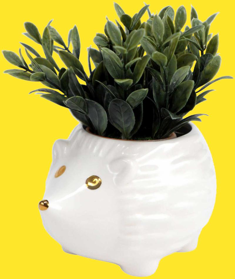 White Hedgehog Planter