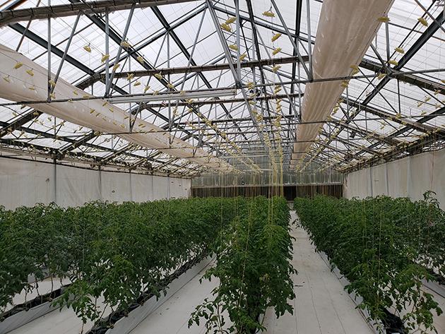 Cedar Spring Farms