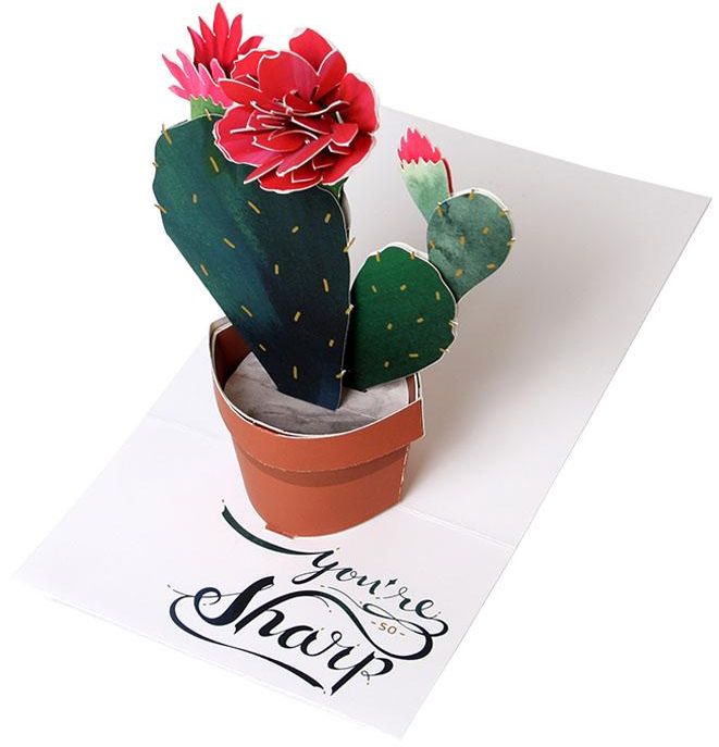 Flowering Cactus Pop Up Card