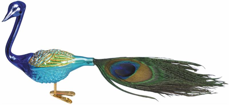 Old World - Magnificient Peacock