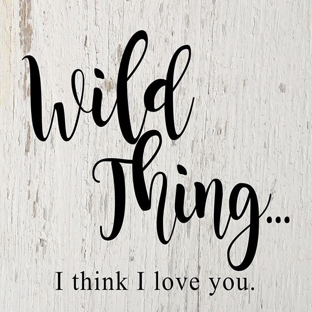 Wild Thing Wooden Box Sign