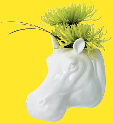 Hippo Wall Vase