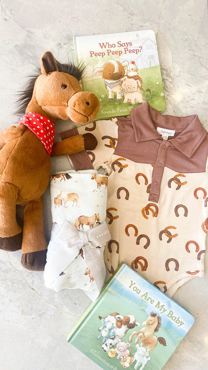 Baby Boy Gift