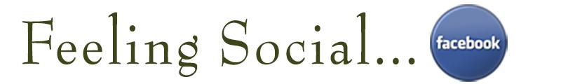 Feeling Social
