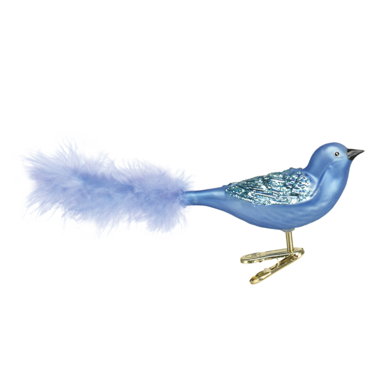Old World - Brilliant Songbird - Blue