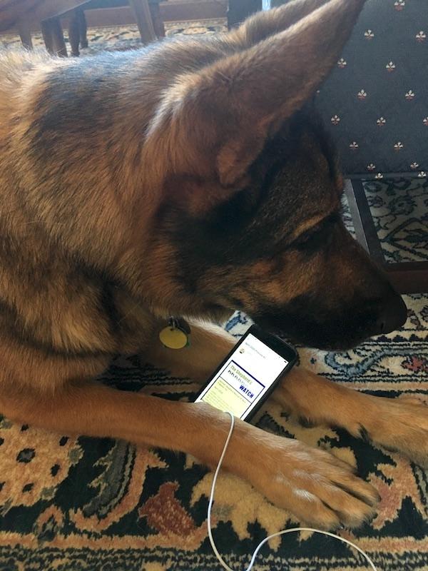 MobileFriendlyGSD