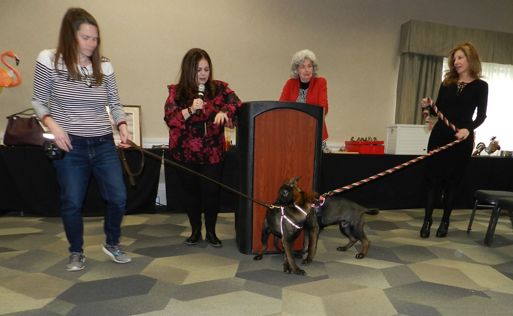 Tina and Karen auction 2023