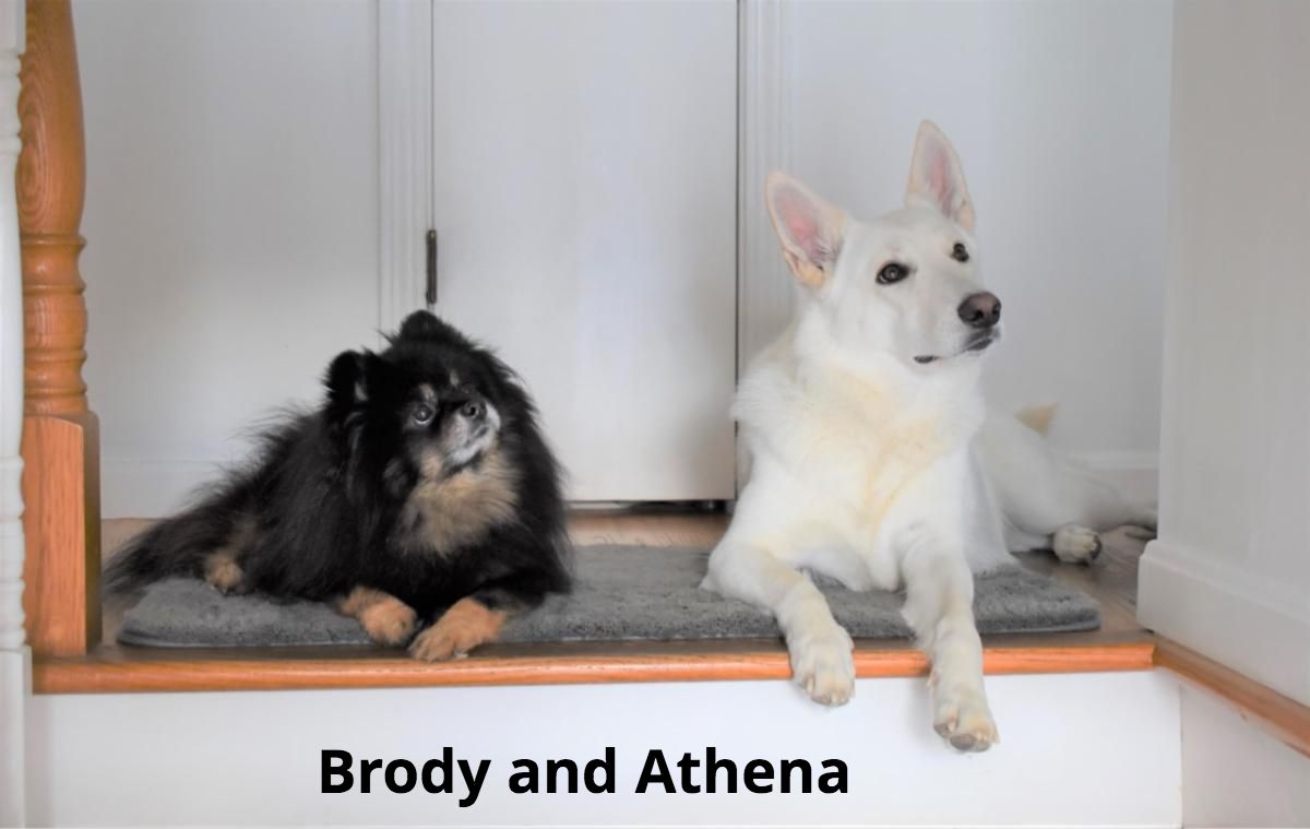 Brody and Athena - HT