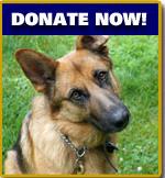 donate_now