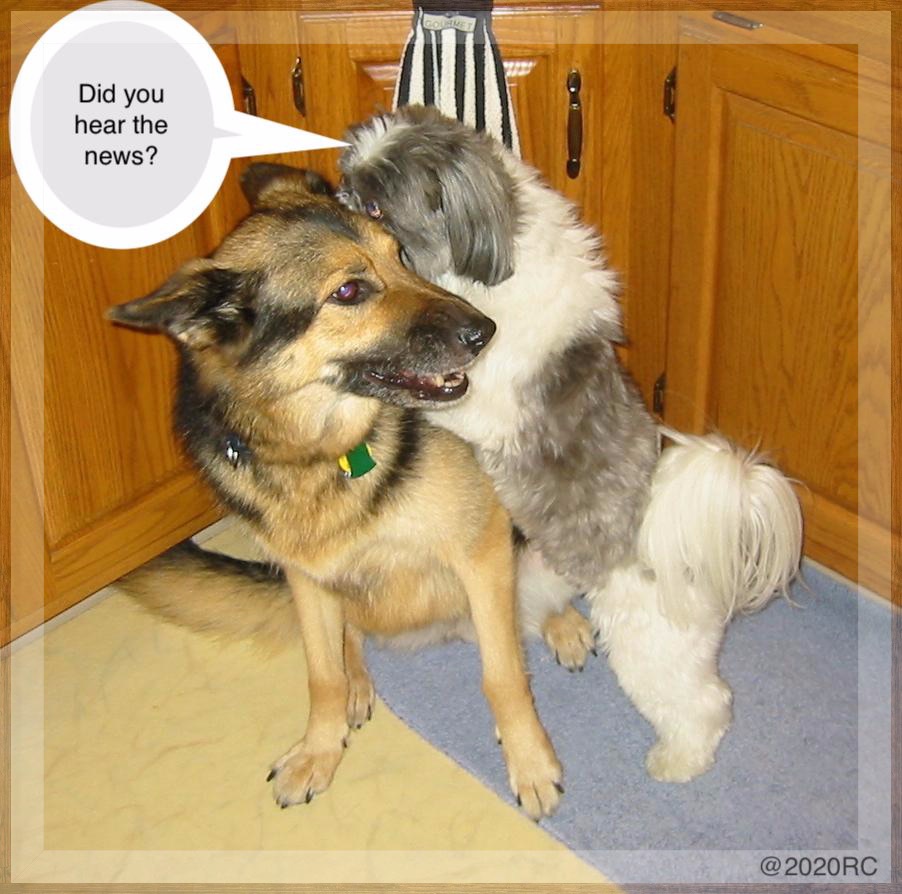 Heidi hearing the news