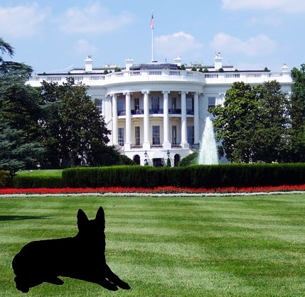 white house GSD