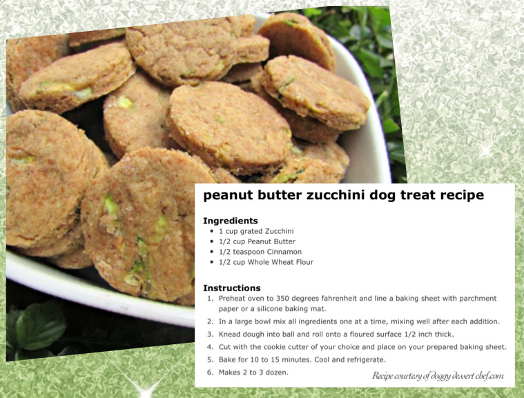 peanut butter zuccini dog treat