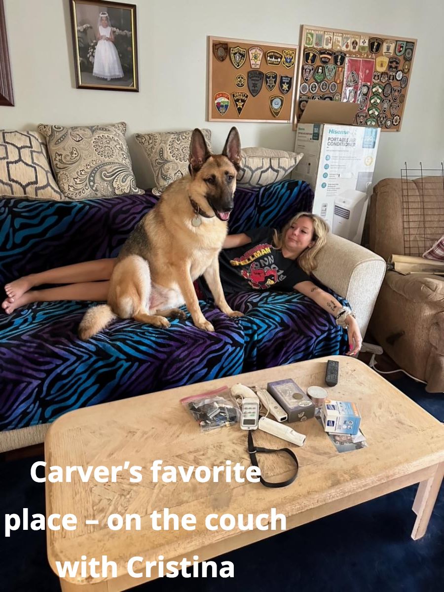 Carver 596