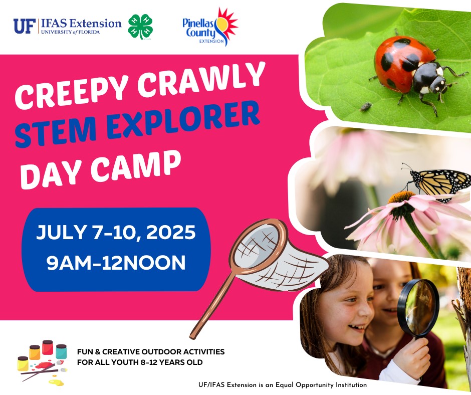 Photos of a lady bug, butterfly and two kids looking through a magnifying glass with text that reads "Creepy Crawly STEM Explorer Day Camp. July 7-10 9 a.m.- Noon. Fun & creative outdoor activities for all youth 8-12 years old."