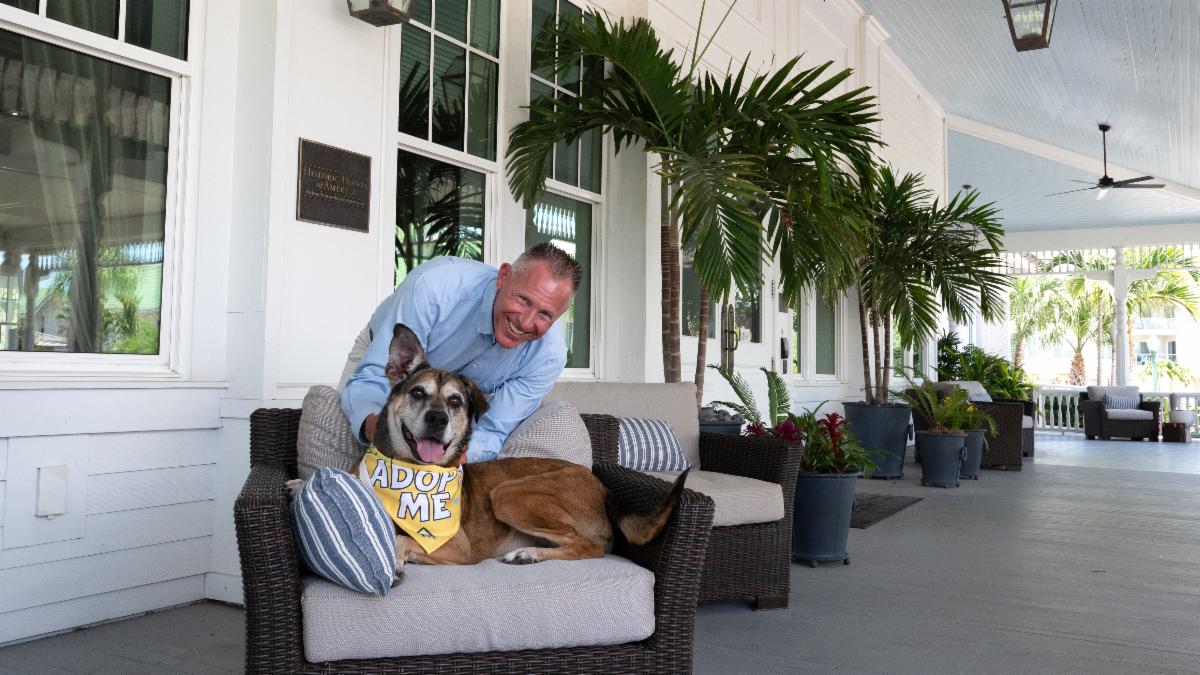 Commissioner Brian Scott pets a adoptable dog on a porch chair. The dog is wearing a bandana that reads "Adopt Me".