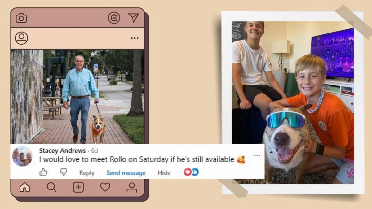 Rollo the dog walks with Commissioner Eggers; a social media comment leads to his new adopted family.