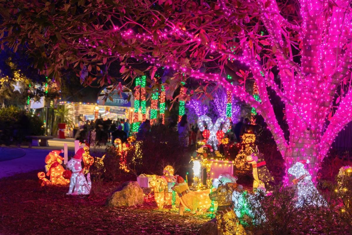 Trees wrapped with holiday lights and light up animals in front of a bistro