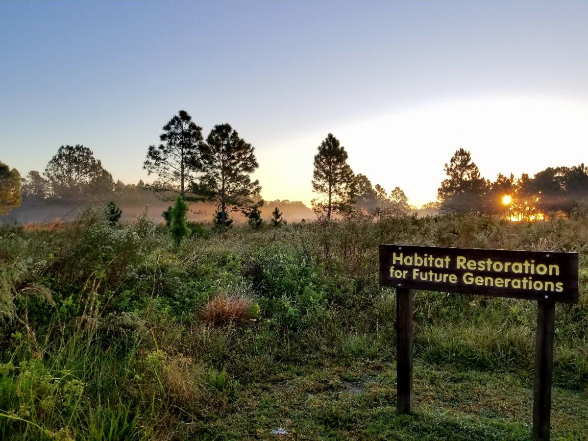 Photo of trees and grass with the sunrise behind them in the background with a sign reading "habitat restoration for future generations" in the foreground.