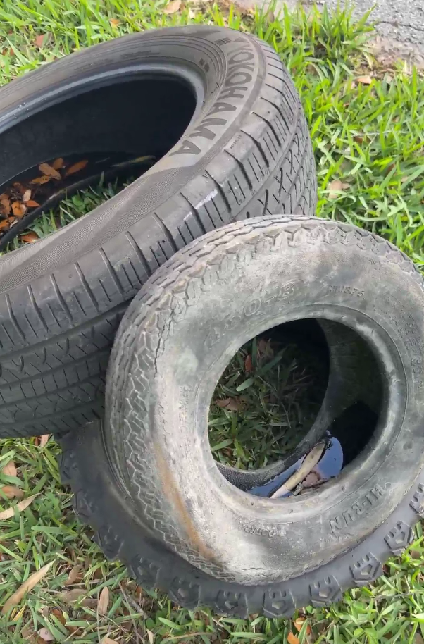 Two tires lay on the ground with water pooling inside.