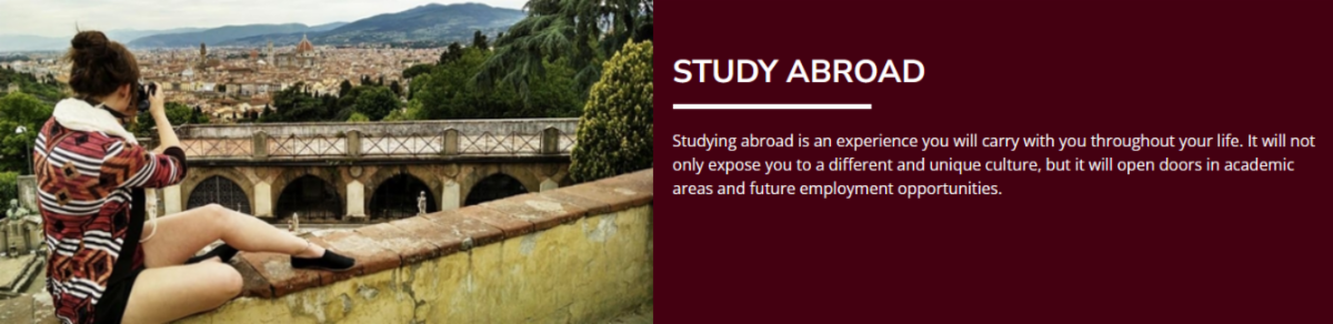Sstudy Abroad Website Graphic