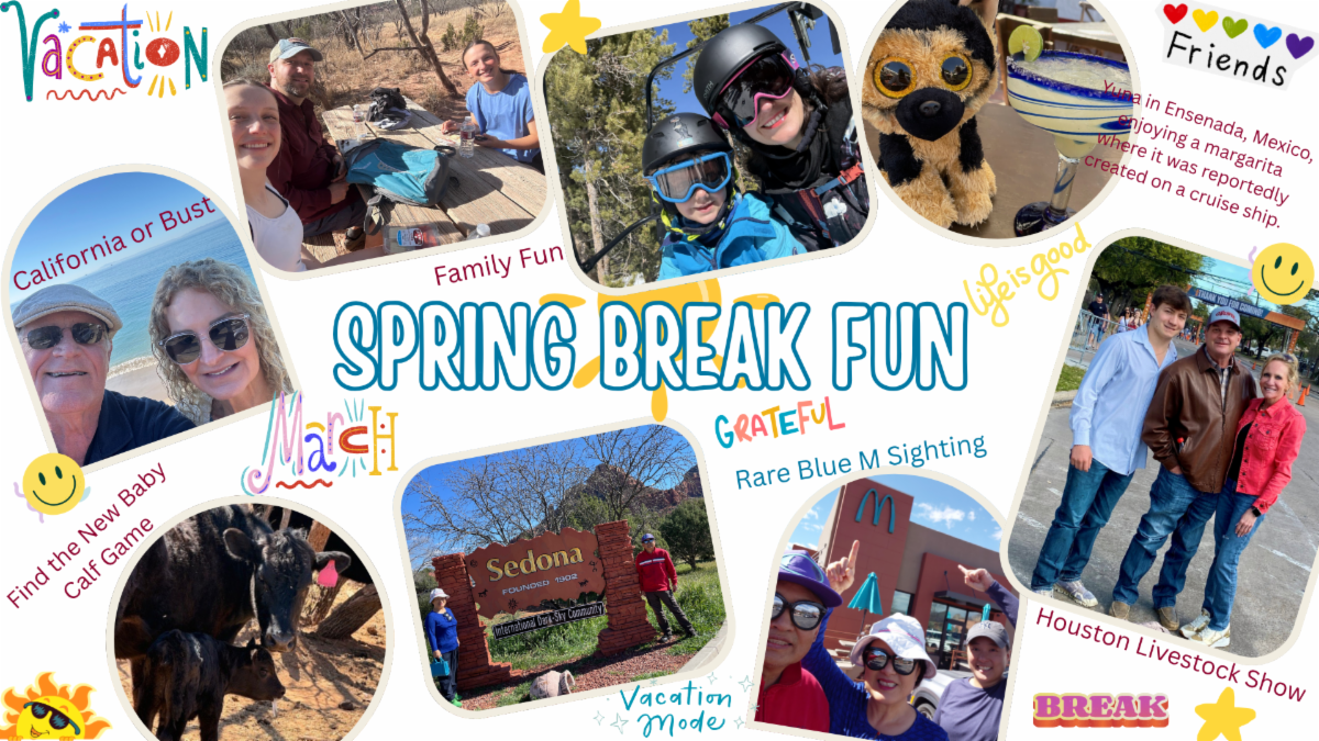 Spring Break Photo Collage