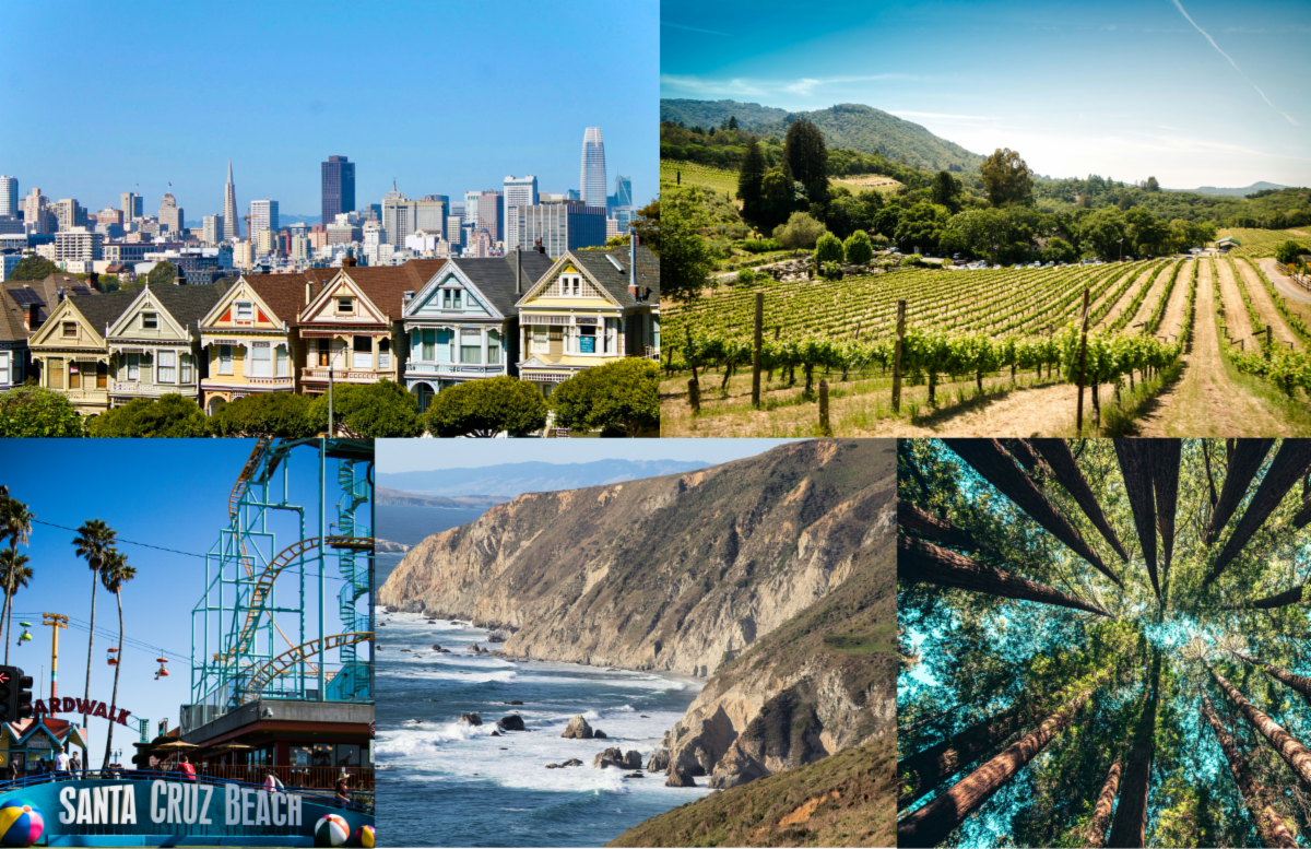 Northern California Adventures